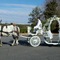 Nottingham Shire & Carriage for Hire, LLC